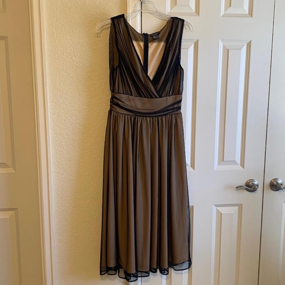 Elegant Black and Beige Dress